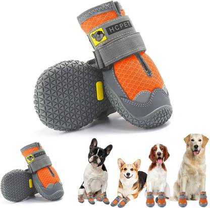 KUTKUT Shoes for Dog
