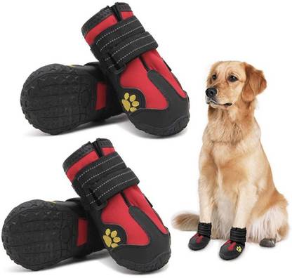 KUTKUT Shoes for Dog