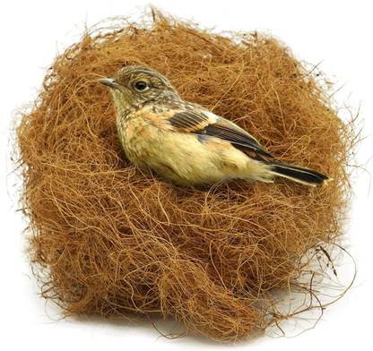 ECOSOFT Natural Coconut Fiber Nesting Material for All Birds and Small Animals Sufficient for 4 Bird Nests… Bird Play Stand