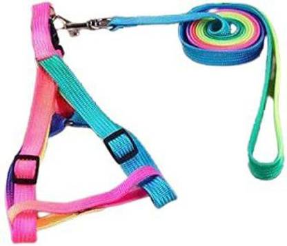 DogTrust Colourful Adjustable Nylon Puppy Leash Harness, Dog Buckle Harness