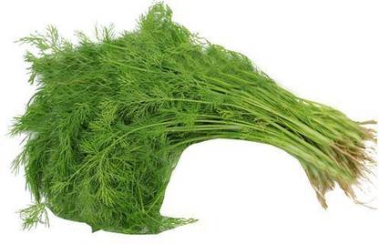 LYRS Desi Green Soya Hara Saag Seed 250 SEED Seed