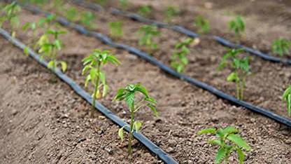 Agri use 16mm Flat Inline Drip Lateral 0.25 Thickness Meter Double Punched Dripper 4 Litre Water Discharge per Hour Dripper (Thickness- 0.25 mm, 16mm-4 Ltr/Hr-50cm) Drip Irrigation Kit
