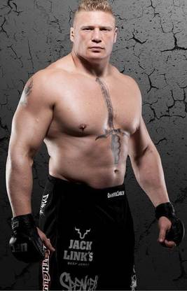 Brook Lesnar American wrestler Matte Finish Poster Paper Print