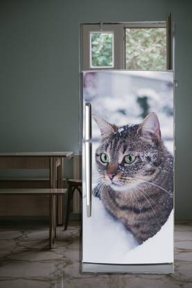 A.T PRINTING SERVICES 60.96 cm close up desi cat fridge wallpaper Self Adhesive Sticker