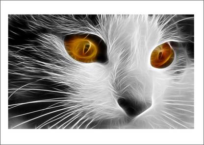 Sahaj Décor 80 cm most wonderfull white cat, Creative cats, highlight cat pictures, hd cats photos, yellow eyes cat, cute cat face photos, best wallpaper, wall image, best window cat image, size [80x50] Self Adhesive Sticker