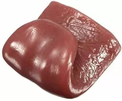 A SARKAR MAGIC SHOP FAKE TONGUE MAGIC (NON-TOXIC ELASTIC REALISTIC SCARY TONGUE) / RUBBER PRANK TONGUE 1 Magic Tricks