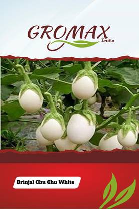 Gromax India Gr-Brinjal Chu-Chu White Seed