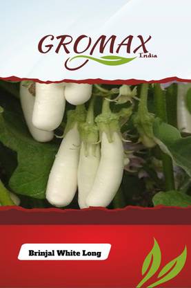 Gromax India Brinjal White Long Seed