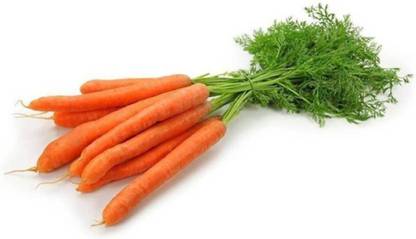 R-DRoz Orange Carrot Seeds Seed