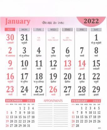 TOUCH OF MODERN 12 Leaf Single Side 2022 Calendar, 14 X 20 inch Offices Wall Calendar Large Dates with Space for Marks/Notes, Paper 80 GSM (PINK) 2022 Wall Calendar
