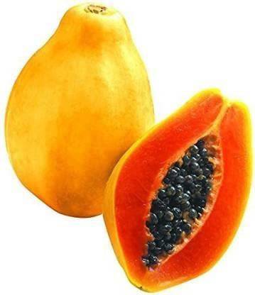 THAMMAR gaylord pusa nanha /dwarf papaya Seed