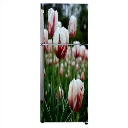 Self Adhesive 60 cm Fridge Sticker