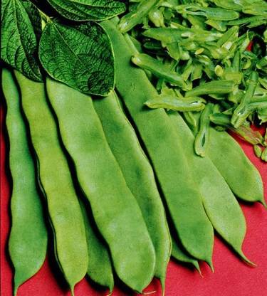 Sem bhali seed Sem seeds Seed