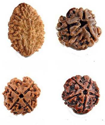 Amriteous 100% Original rudraksha beads (2 to 5 mukhi) Rudraksha Pack of 4 Wood Pendant