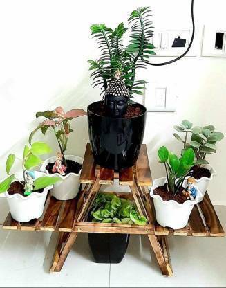 AMS WOODEN HUB Plant Container Set