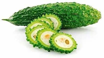 Paudha Organic Bittergourd (Karela) Seed