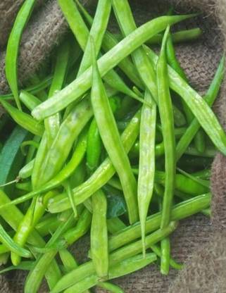 Paudha Organic Clusterbeans (guar) Seed