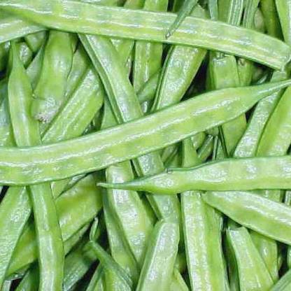 rmd Clusterbeans (guar) Seed