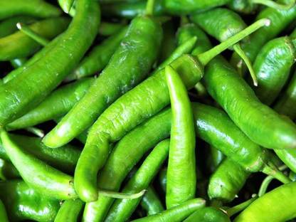 Paudha Organic Green Chilli F1 Seed