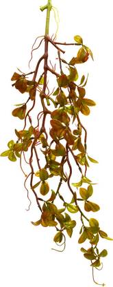 fancymart Artificial Wall Creeper without Hanging Stand Wild Artificial Plant