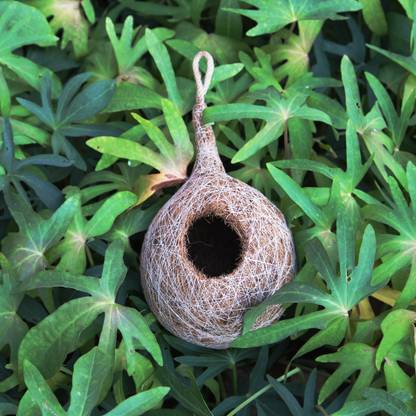 JUGNOO Organic BIRD NEST purely made by bird building technique Bird House Bird House