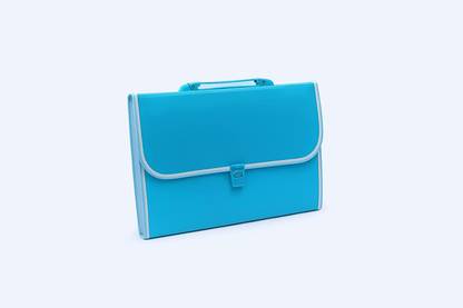 Packwell Plastic Expandable Document Bag/ Expanding File Folder/ Letter A4 Size File Organizer with Handle and Lock Set with 13 Pockets - SKY BLUE