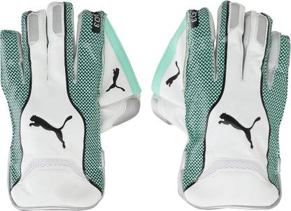 PUMA EVO 3 Wicket Keeper glove Wicket Keeping Gloves