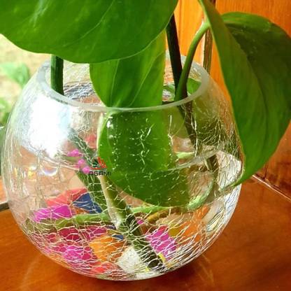 AGAMI crackle design Mercury Glass Clear Round Bowl, Rose Bowl Pot Vase for Flowers and plants, Home decoration, drawing room, office, Hotel decoration, Perfect for Marriage and house warming gifts Glass Vase