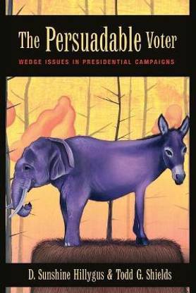 The Persuadable Voter