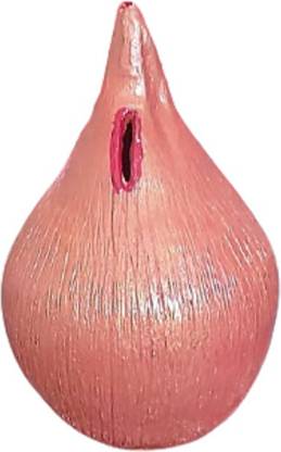 Sudhanshu Coconut Coin Bank Coin Bank