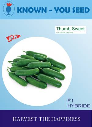 KRISHNA THUMB SWEET cucumber fruit hybrid seeds Seed