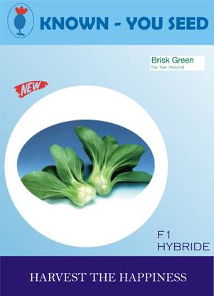 KRISHNA brisk green pai tsai vegetable hybrid seeds Seed