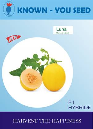 KRISHNA LUNA muskmelon fruit hybrid seeds Seed