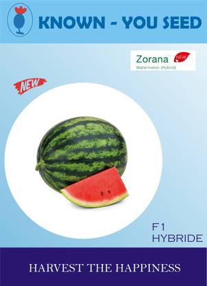 KRISHNA zorana watermelon fruit hybrid seeds Seed