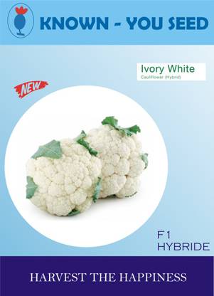 KRISHNA LVORY WHITE qualiflower vegetables hybrid seeds Seed