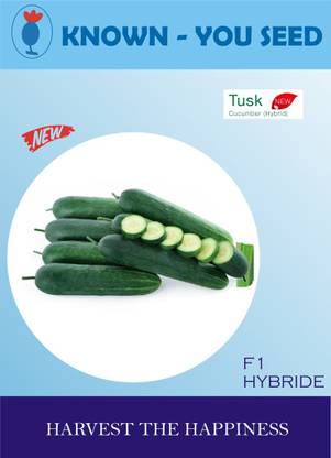 krishnas TUSK cucumber fruit hybrid seeds Seed