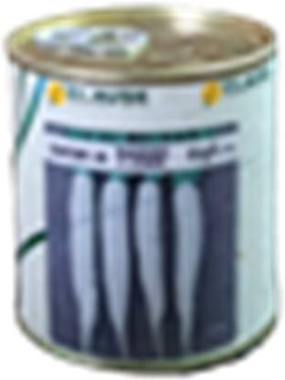 SM Exports F1 Hybrid Raddish vegetable seeds with branded packing truthful tin oack of 100g. Seed