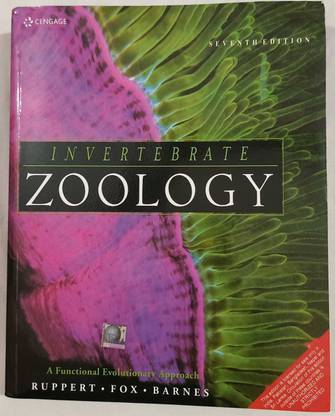 Invertebrate Zoology: Buy Invertebrate Zoology by Edward E. Ruppert