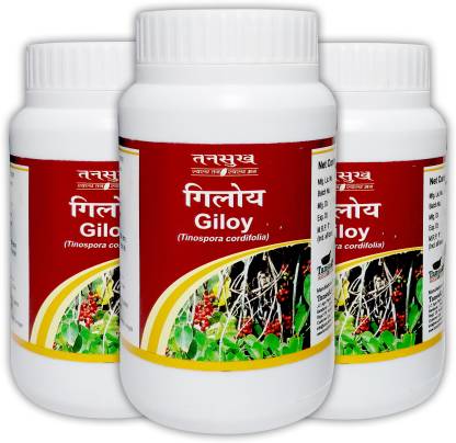 Tansukh Giloy Churna, Giloy Powder, Guduchi, (100g x3) | Tinospora Cordifolia Powder | Ayurvedic Remedy for Fever & Liver Problems