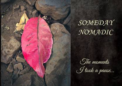 The moments I took a pause…