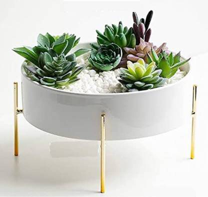 Neumark Impex plants holder plates Plant Container Set