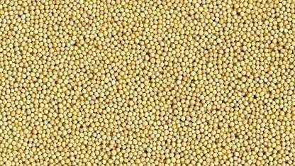 Cadence Safed Rai Seed Seed