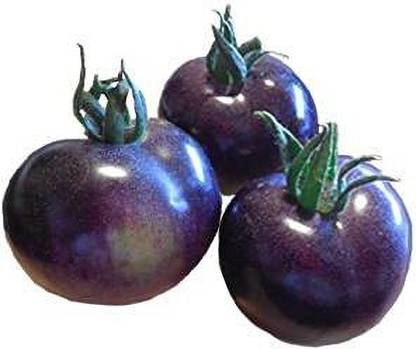 ENINE Imported Black Tomato Hybrid Seeds For Gardening GH15 Seed