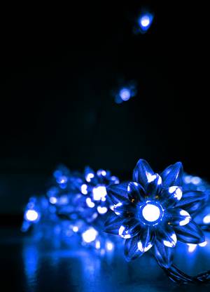 Meneon 36 LEDs 8.26 m Blue Flickering Flower Rice Lights