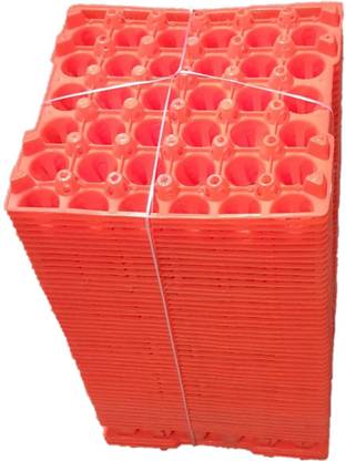 Gupta Plastic Egg Container  - 2.5 dozen
