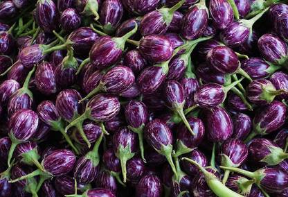 Aywal Round Brinjal Seeds Indian Vegetable Seed