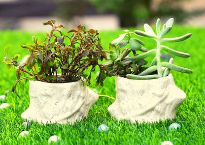 Bright Shop Ceramic Plant Container Set White Color, Tree Planter Pot for Living Room & Garden. Home Decor Planters [Plants Not Included, Pack of 2] Plant Container Set