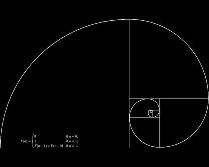Minimalism Black Background Golden Ratio Fibonacci Sequence Matte Finish Poster Photographic Paper
