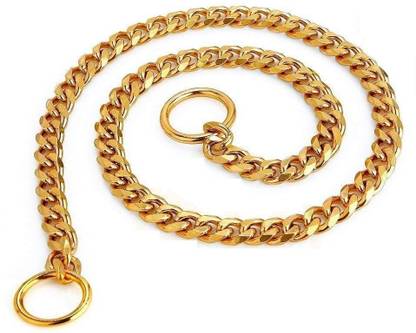 DogTrust 60 cm Dog & Cat Chain Leash