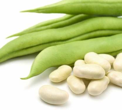 Aywal French Bean Safari Seed